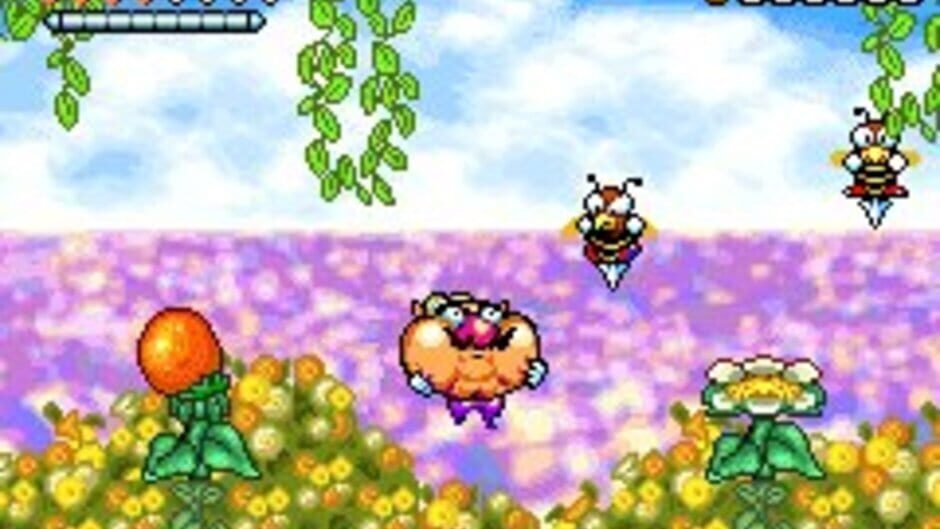 Wario Land 4